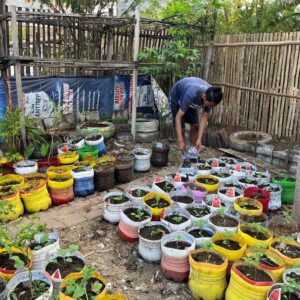 Mahasiswa KKN UNS lakukan kegiatan kolaborasi dengan Warga Kampung Njawani dalam program revitalisasi Kebun Sayur Organik Warga